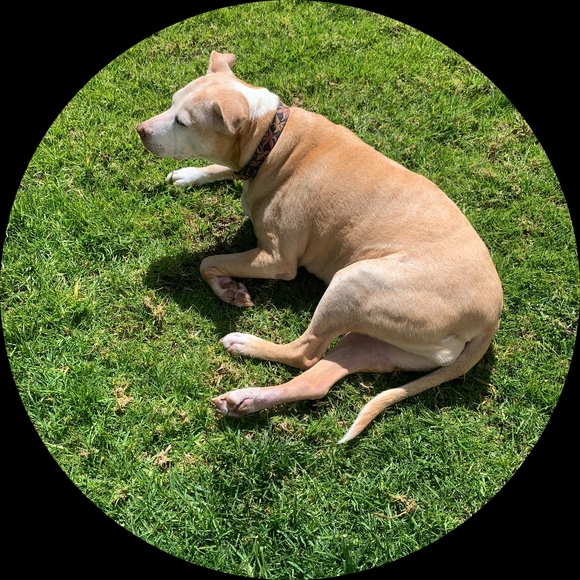 Meet your Posher, Emily - Picture 1 of 1